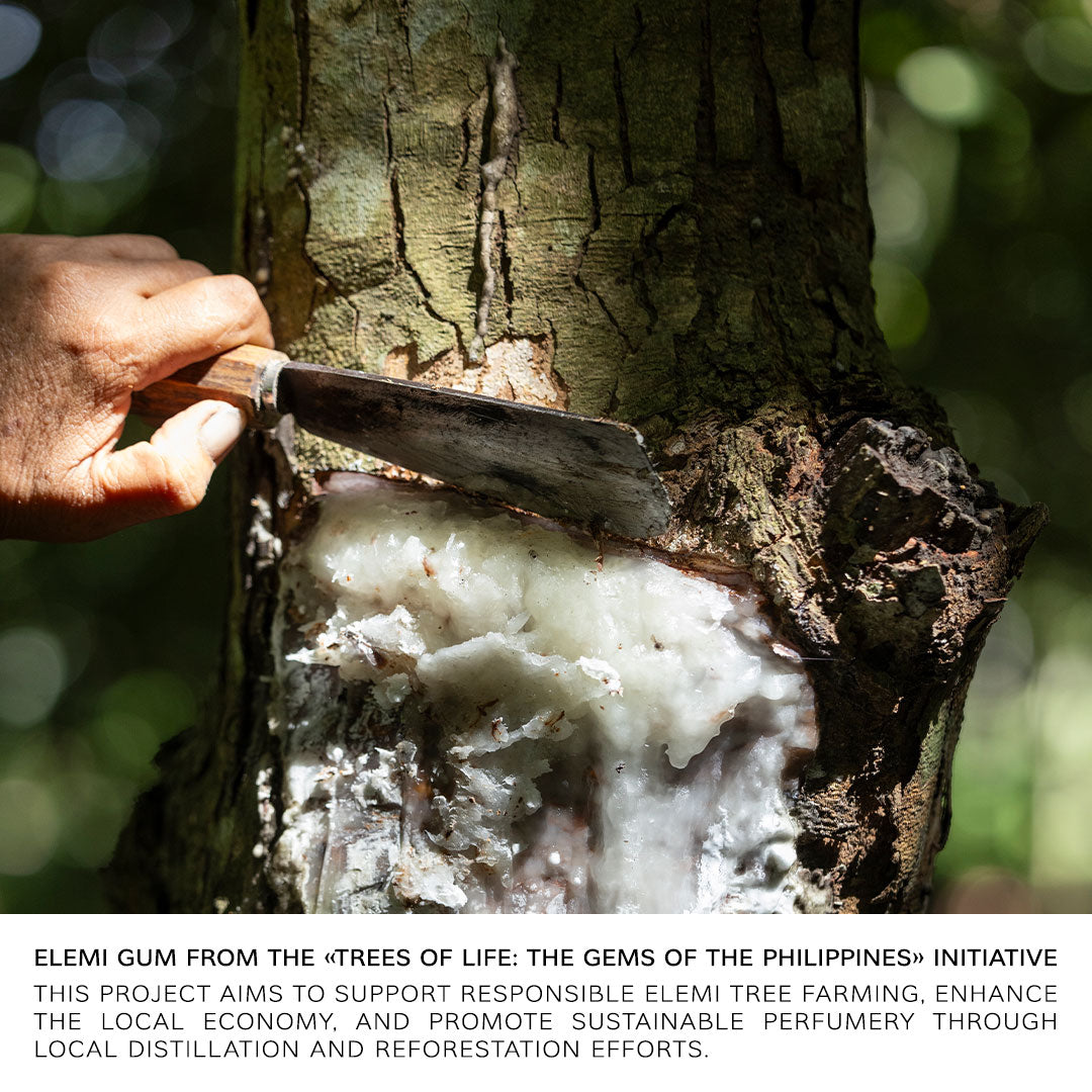 Bvlgari Man In Black Parfum Refill