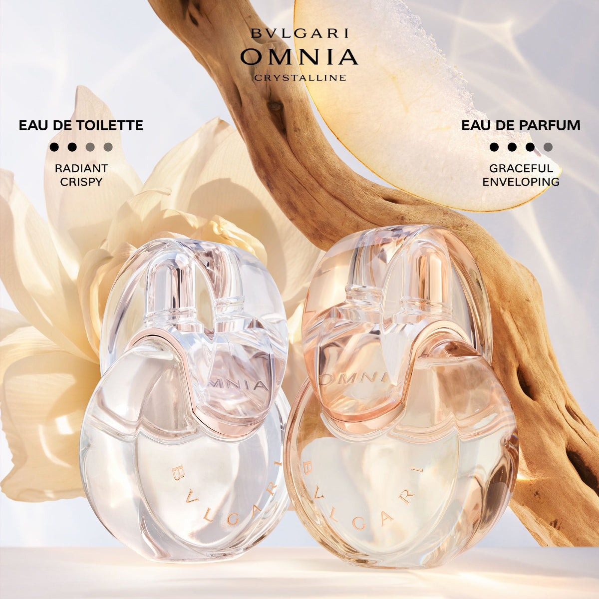 Ladies Omnia Crystalline Eau de Toilette - REFILL – Edgars