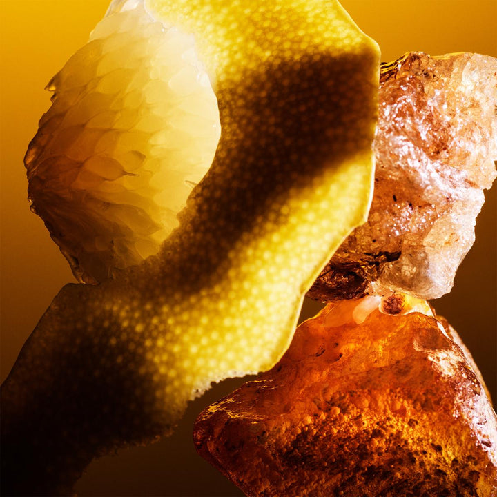 Le Gemme Tygar Extrait