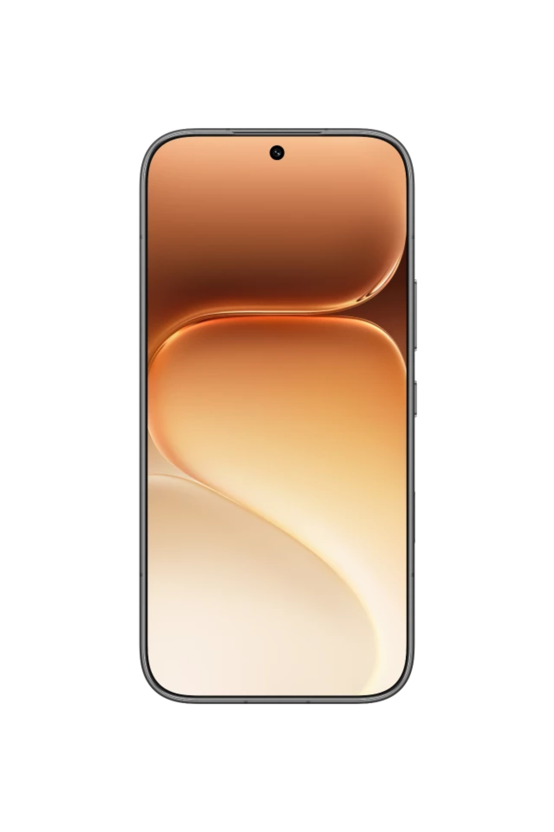 Honor 600 256GB Cellphone - Black