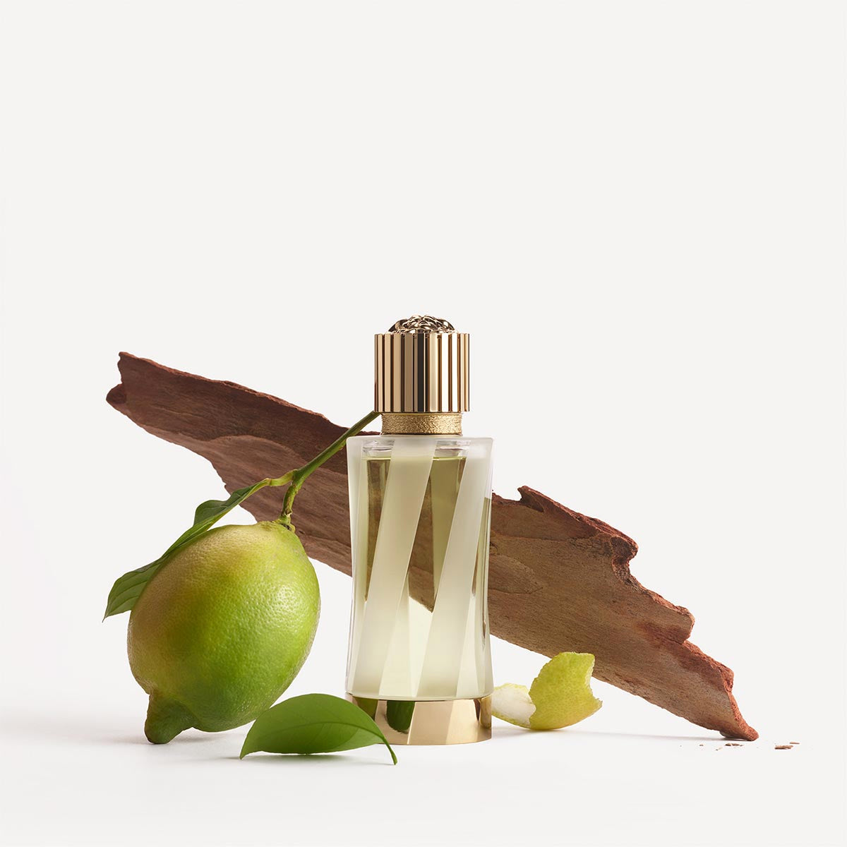 Ladies Atelier Versace Cedrat De Diamante Eau de Parfum 100ml – Edgars