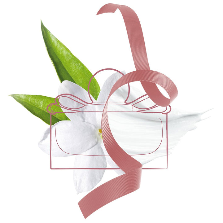 Signorina Eau de Parfum