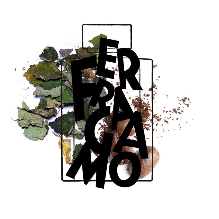 Uomo Signature Eau de Parfum