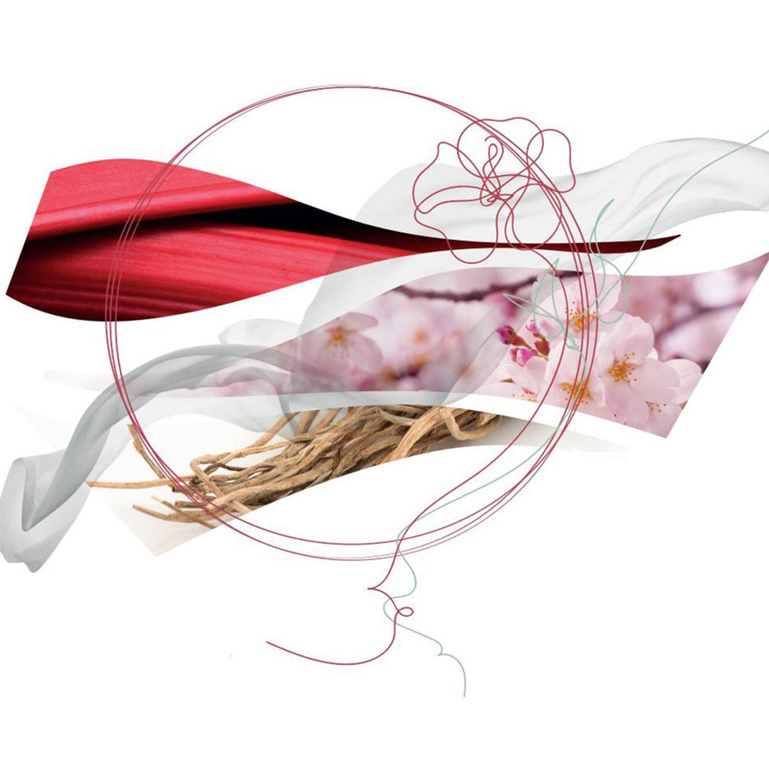 Giardini Di Seta Eau de Parfum