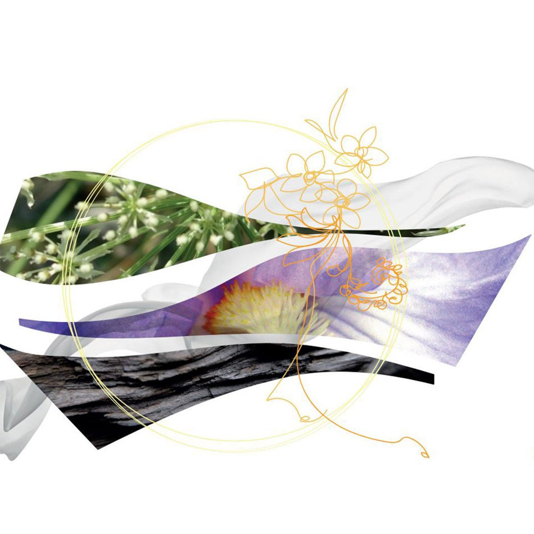 Savane Di Seta Eau de Parfum