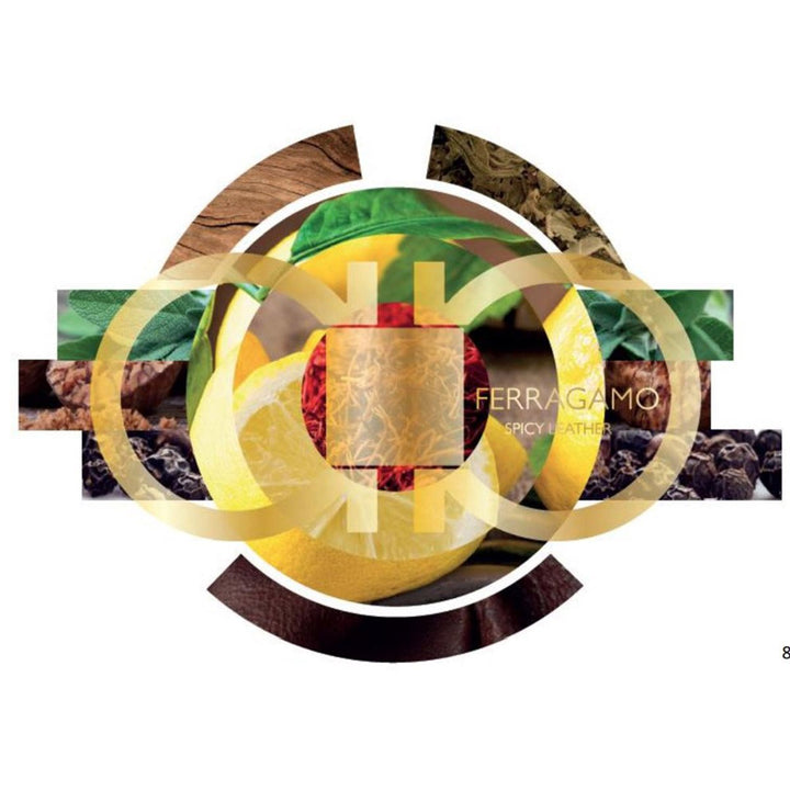 Ferragamo Spicy Leather Eau De Parfum 100 ml