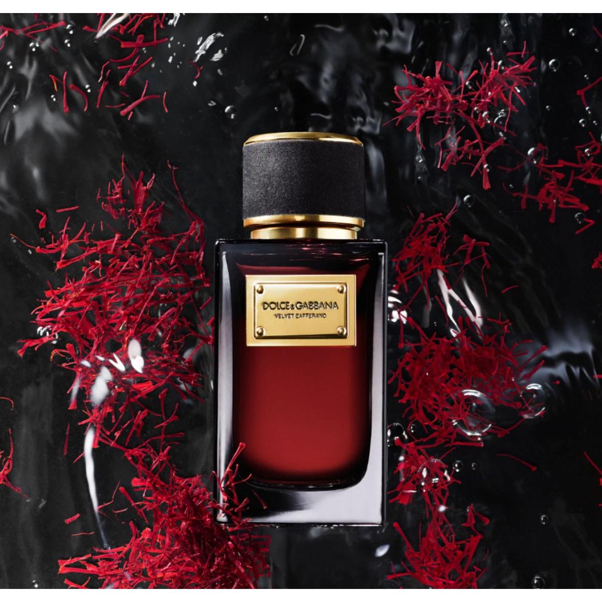 Velvet Zafferano Eau de Parfum 100ml – Edgars