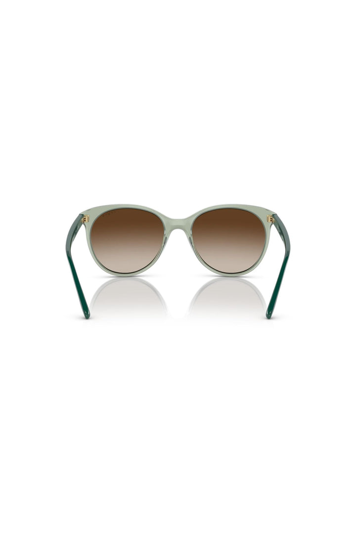 Vogue Transparent Sunglasses - Teal Green
