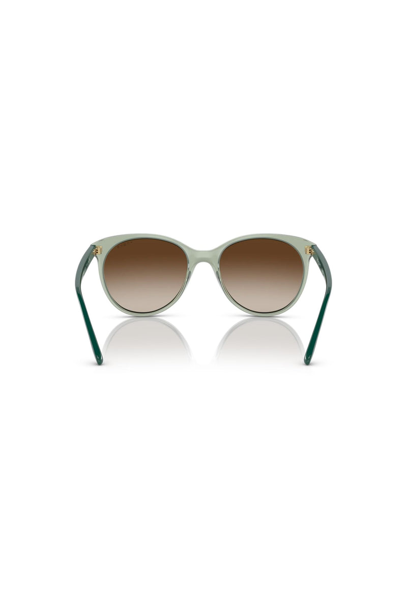 Vogue Transparent Sunglasses - Teal Green