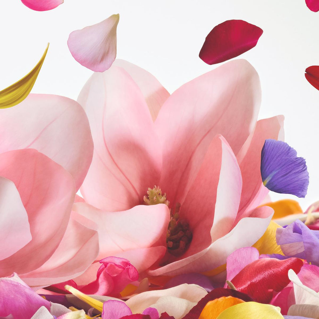 Dolce Magnolia Eau De Parfum
