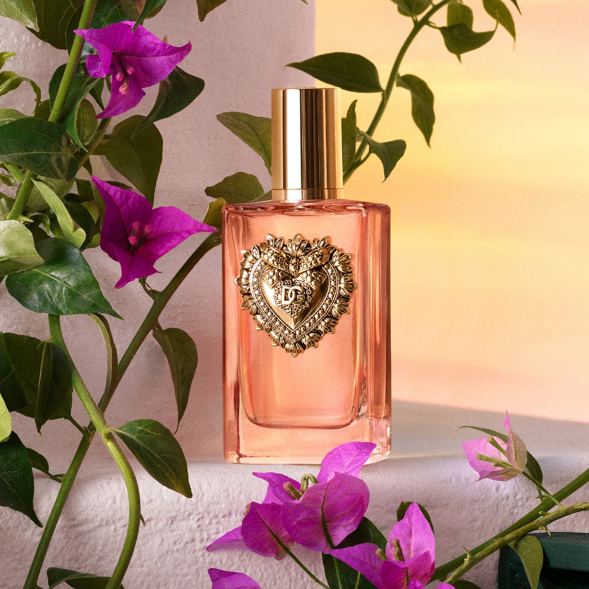 Ladies Devotion Eau De Parfum Intense – Edgars