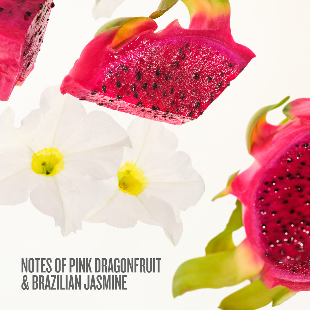 Beija Flor Party Of Two Set