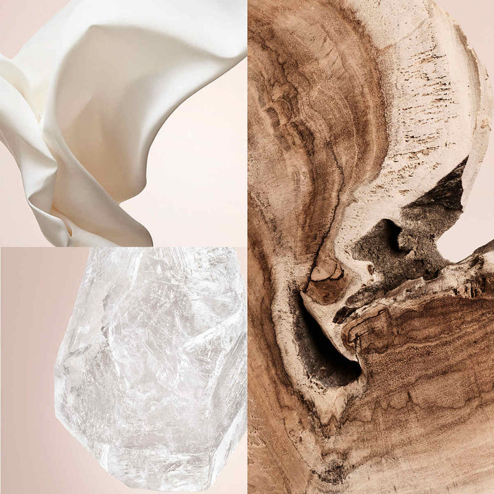 Herrera Confidential Cedar Chic Eau de Parfum