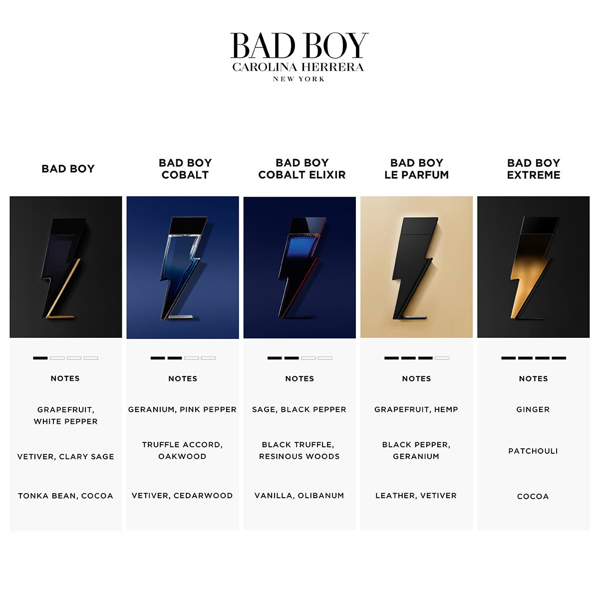 Mens Bad Boy Eau de Toilette – Edgars