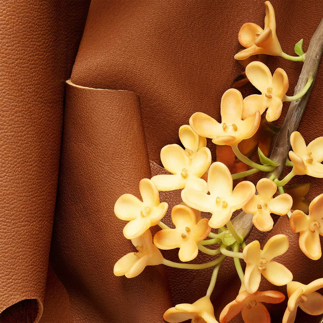 Herrera Confidential Stallion Leather Eau de Parfum