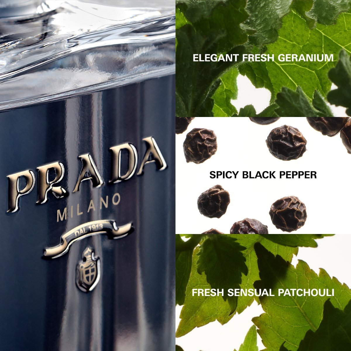 Mens Prada - L'Homme Eau de Toilette – Edgars