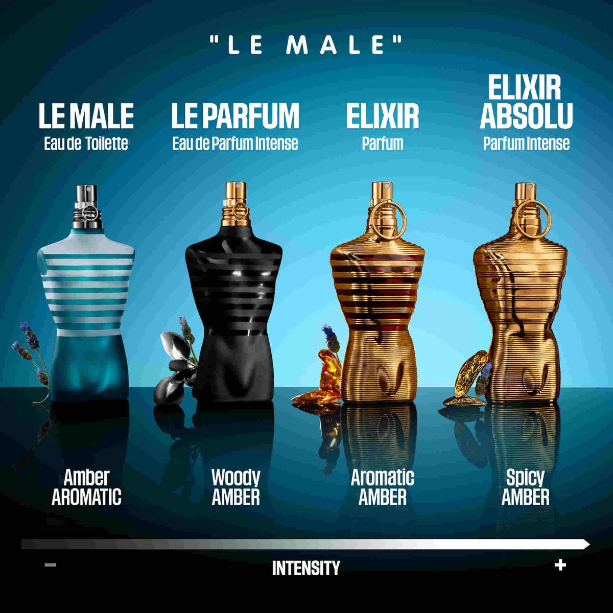 Mens Le Male Eau de Toilette – Edgars