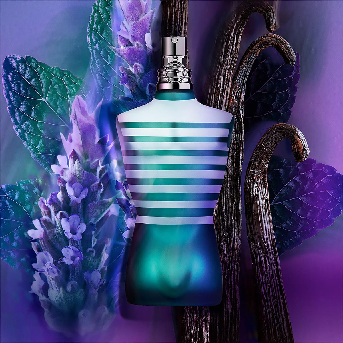 Mens Le Male Eau de Toilette – Edgars