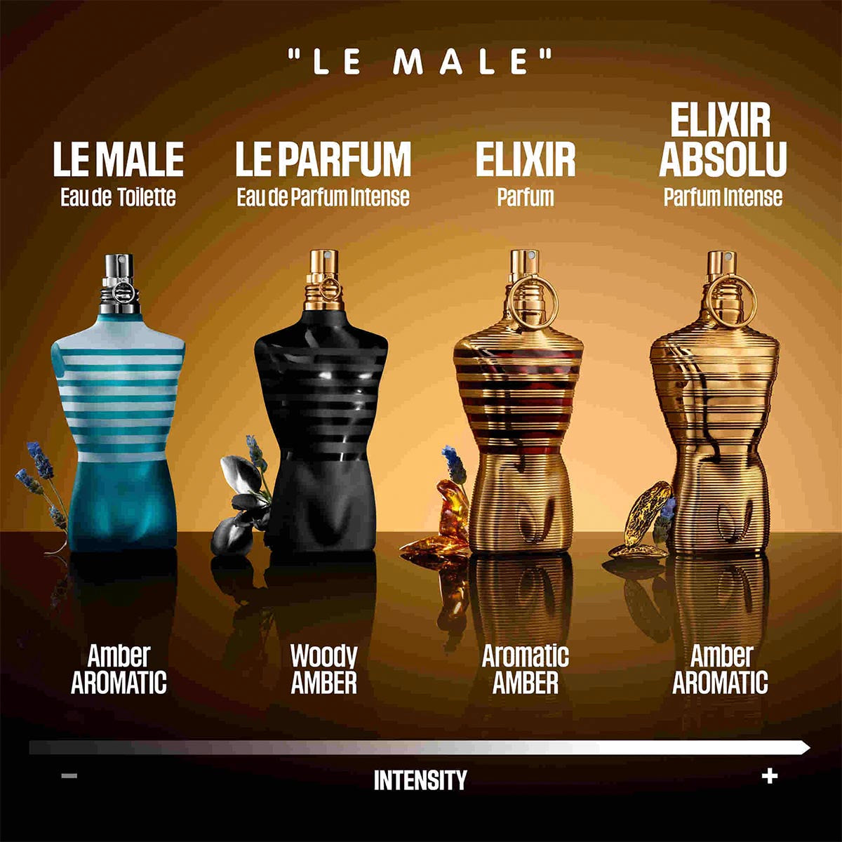 Mens Le Male Le Parfum – Edgars