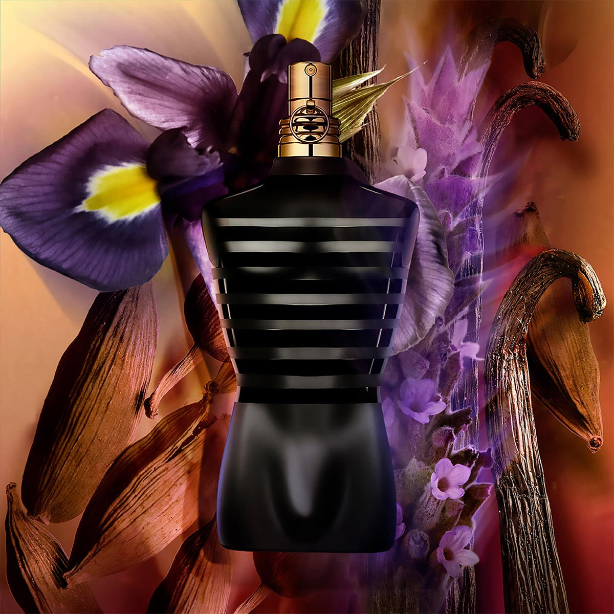 香水(ユニセックス) JeanPaul Gaultier Le Male Le Parfum 75ml Mens Le Male Le Parfum – Edgars