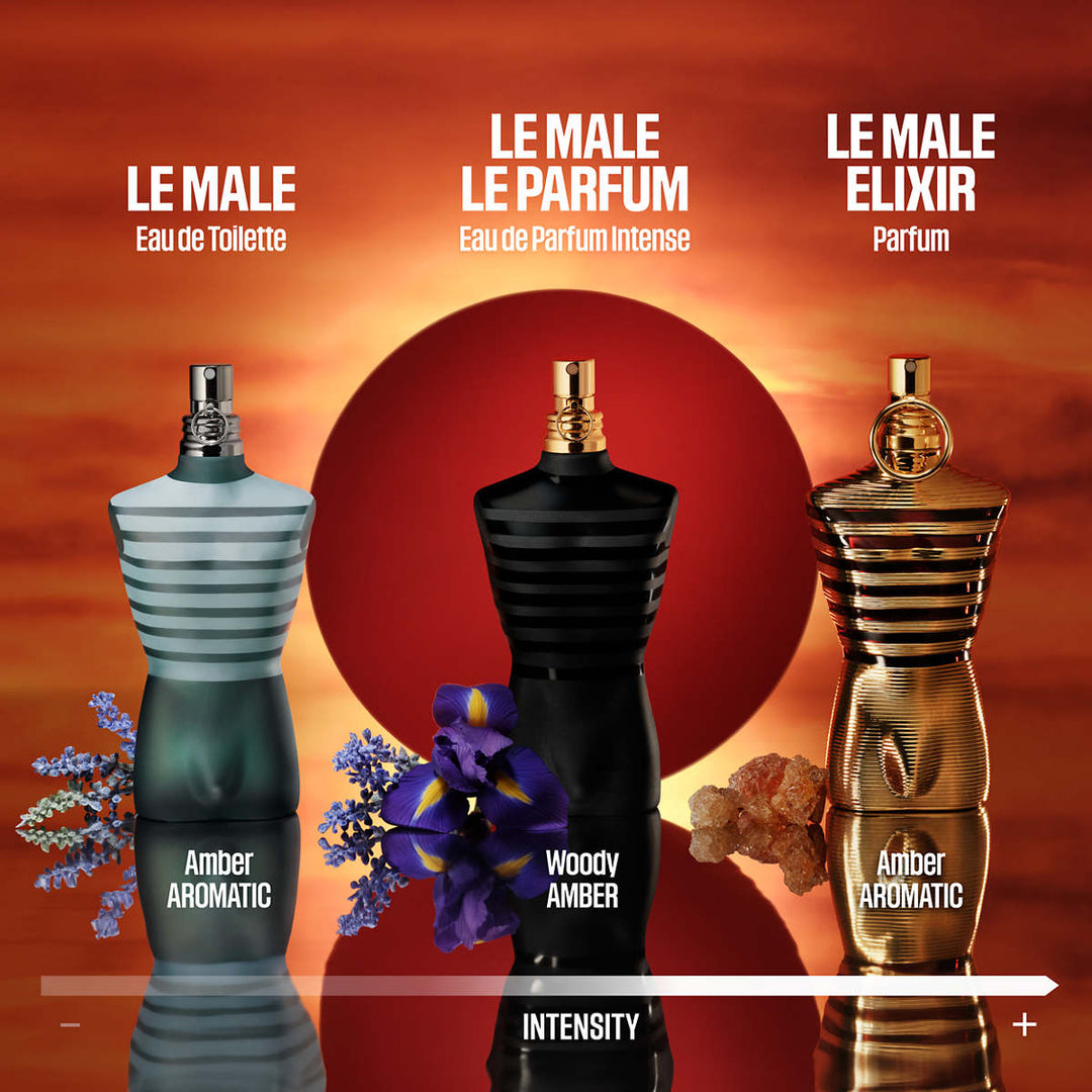 Gaultier Perfume Fragrantica Jean Paul Gaultier Le Male Gaultier