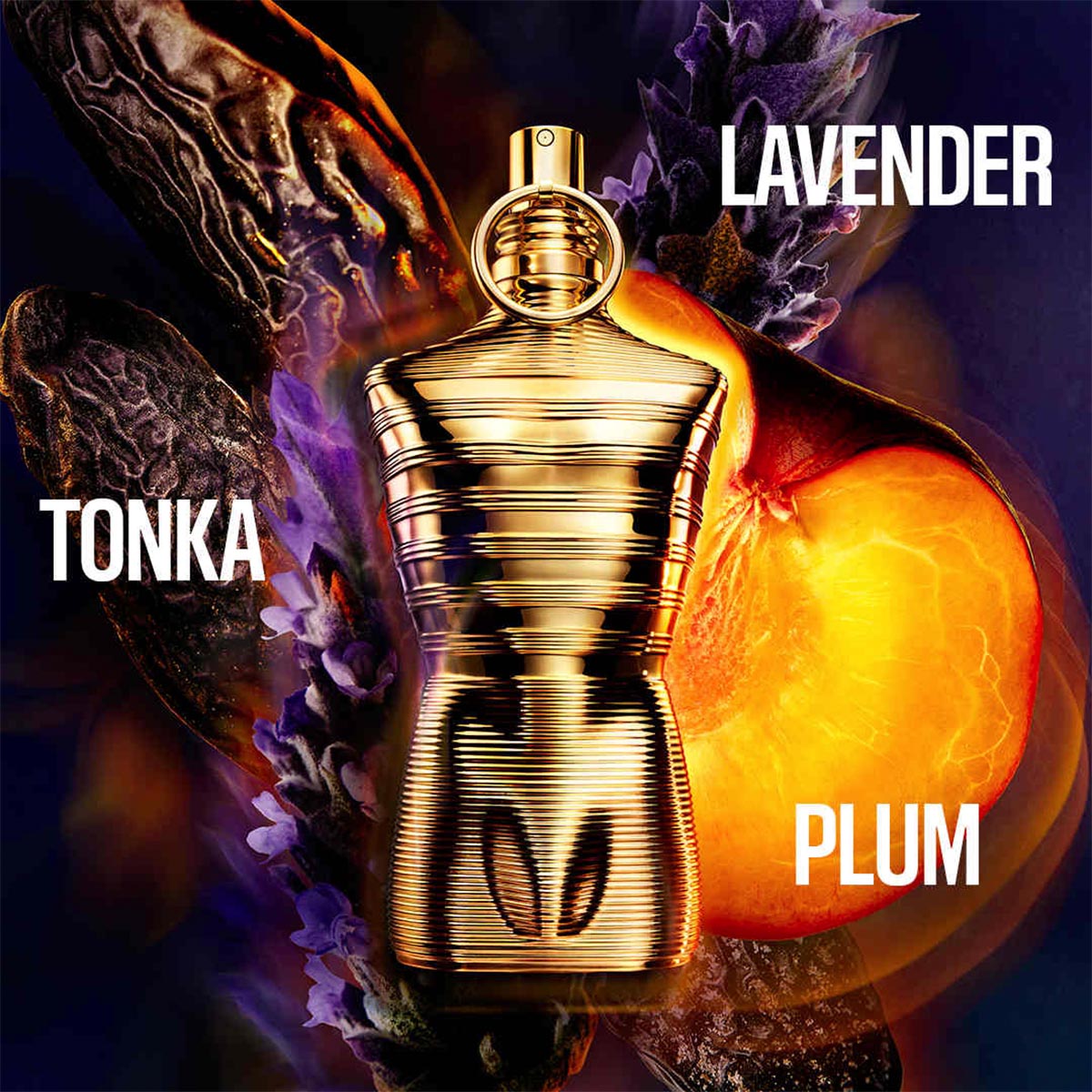 Mens Le Male Elixir Absolu Parfum Intense – Edgars