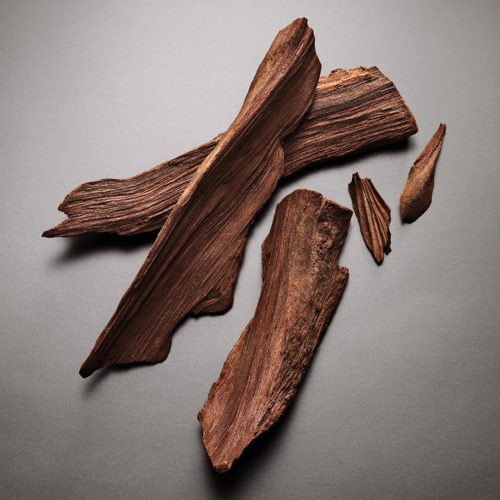 Pour Femme Absolu Eau de Parfum