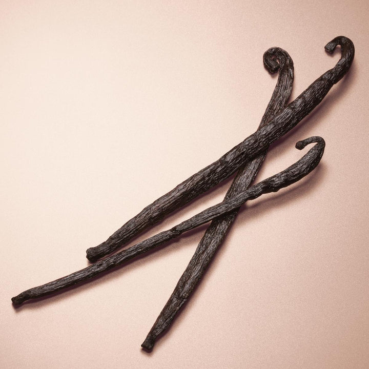 Pour Homme Absolu Eau de Parfum