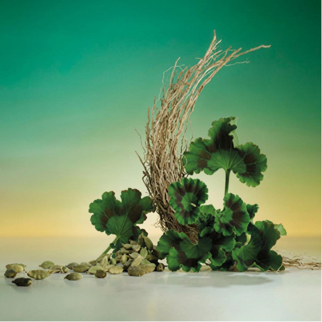 Green Infinity Eau De Parfum