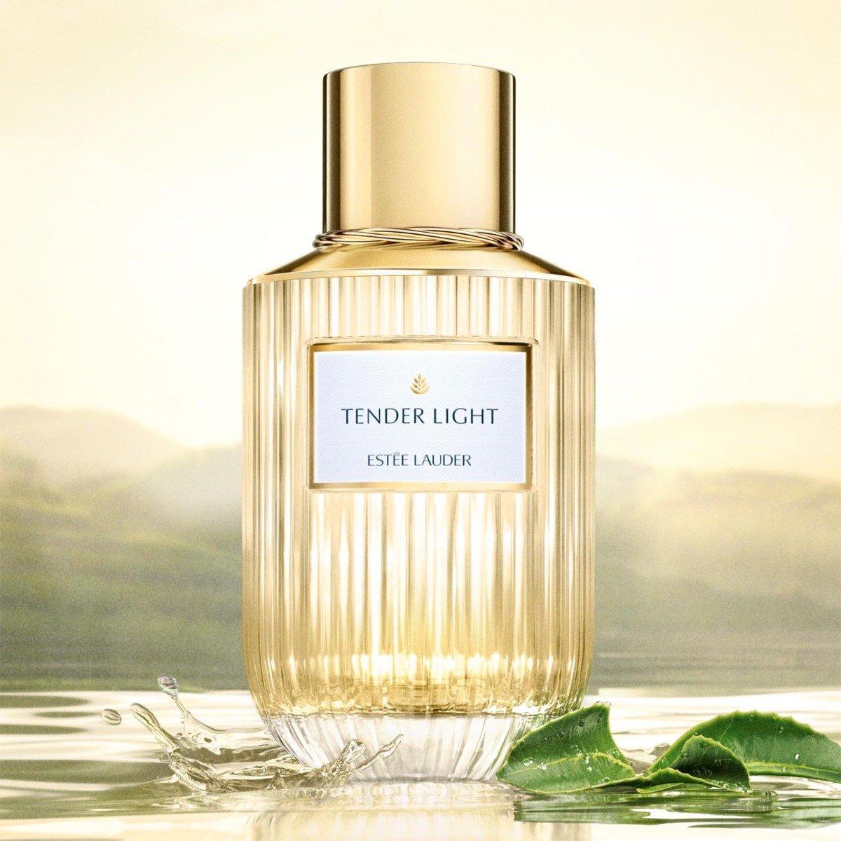 香水(女性用) Tender light 40ml Ladies Tender Light Eau De Parfum – Edgars