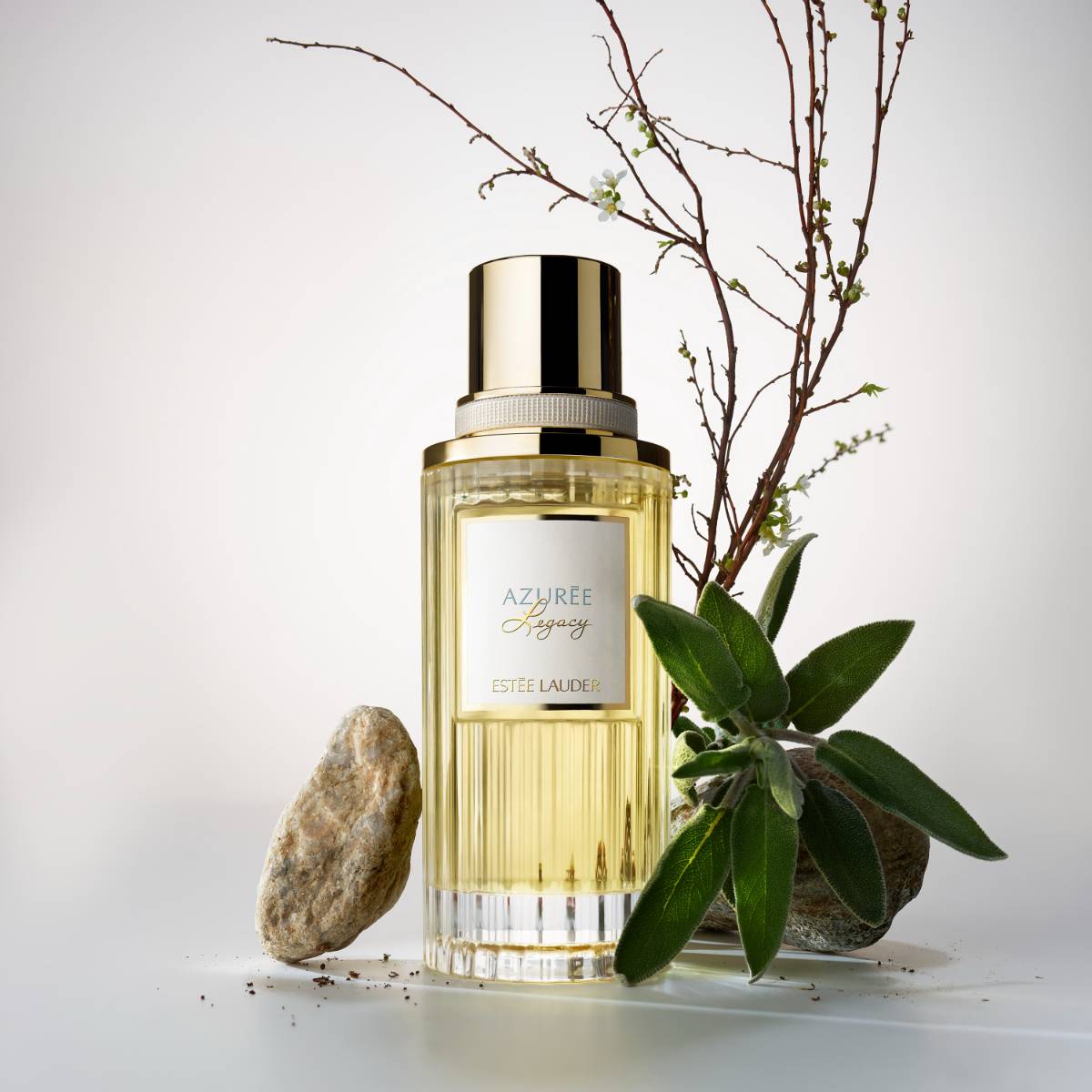 Azurée Legacy Eau de Parfum Spray – Edgars
