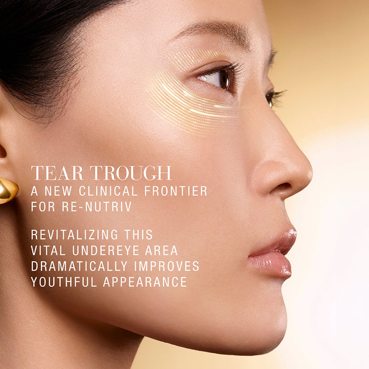 The Essential Eyeshadow Quad