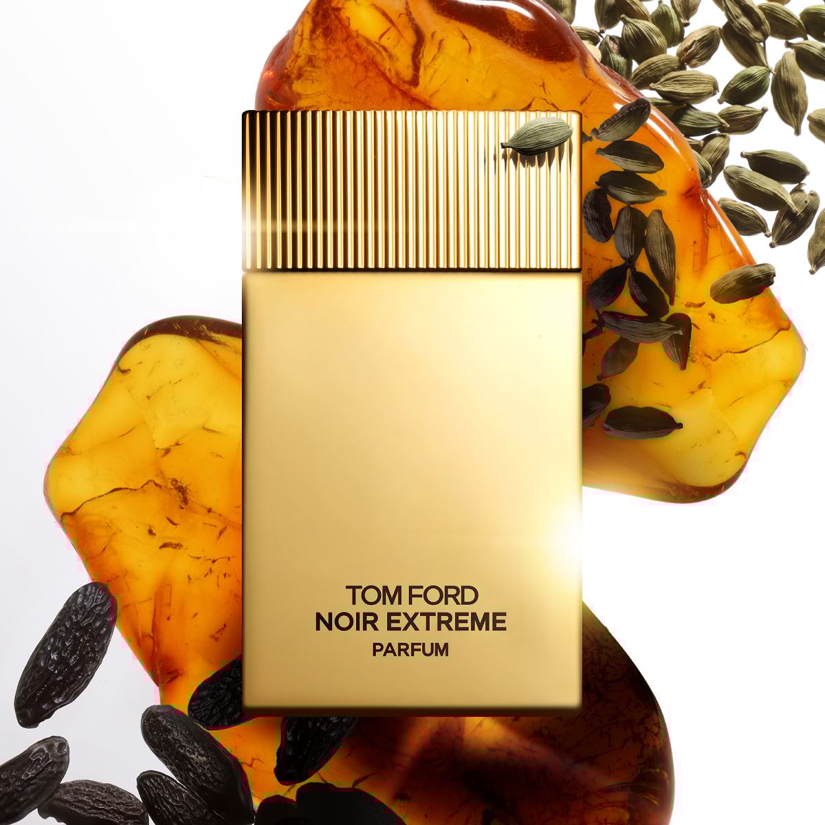 Mens Noir Extreme Parfum – Edgars
