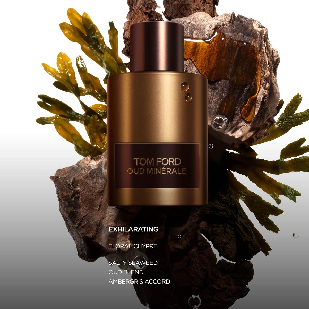 香水(男性用) TOM FORD OUD MINERALE EDP Mens Oud Minerale Eau de parfum – Edgars