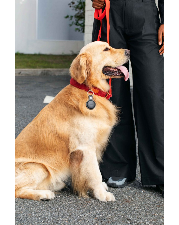 MiTag Duo with Key Ring - Black