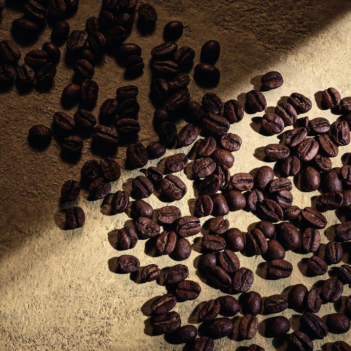 Devotion For Men Pour Homme Parfum