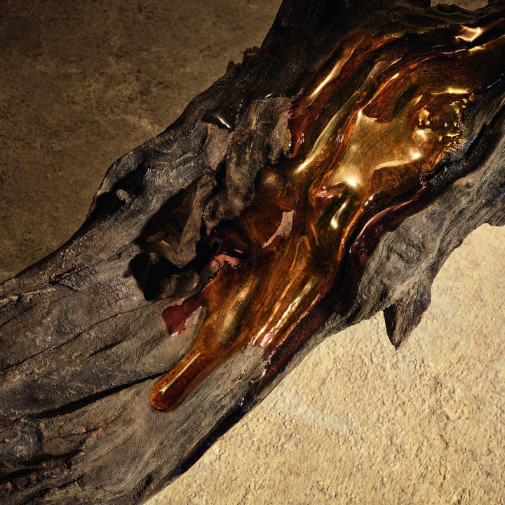 Devotion For Men Pour Homme Parfum