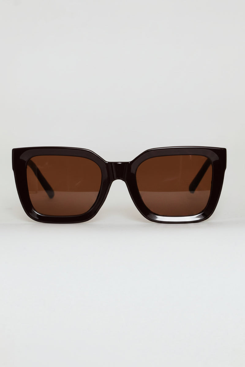 Square Plastic Frame Brown Lens Sunglasses - Chocolate