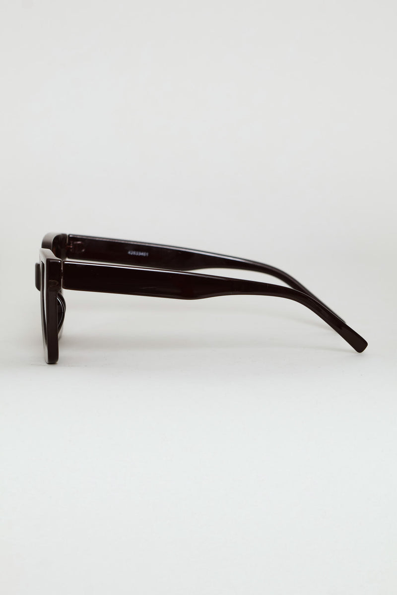 Square Plastic Frame Brown Lens Sunglasses - Chocolate