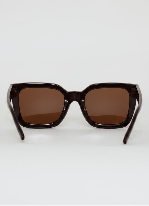 Square Plastic Frame Brown Lens Sunglasses - Chocolate