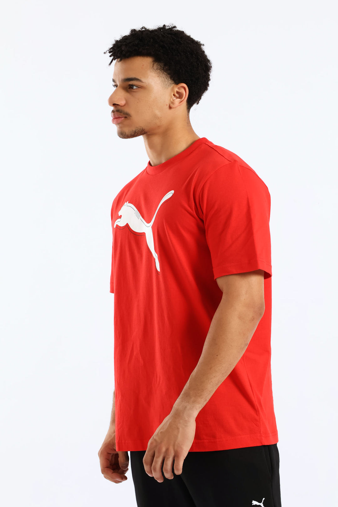 Graphic Cat Logo Tee - Red