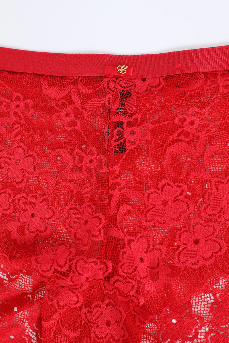Shimmer Waistband Lace Midi Panty - Red