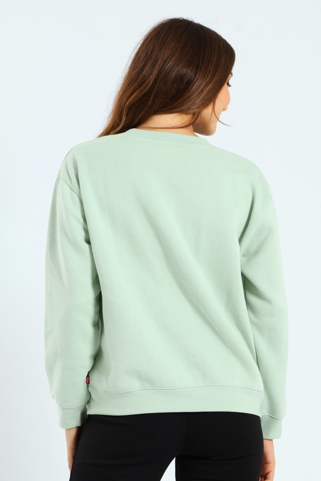 Shine On Poster Crew Top - Light Green