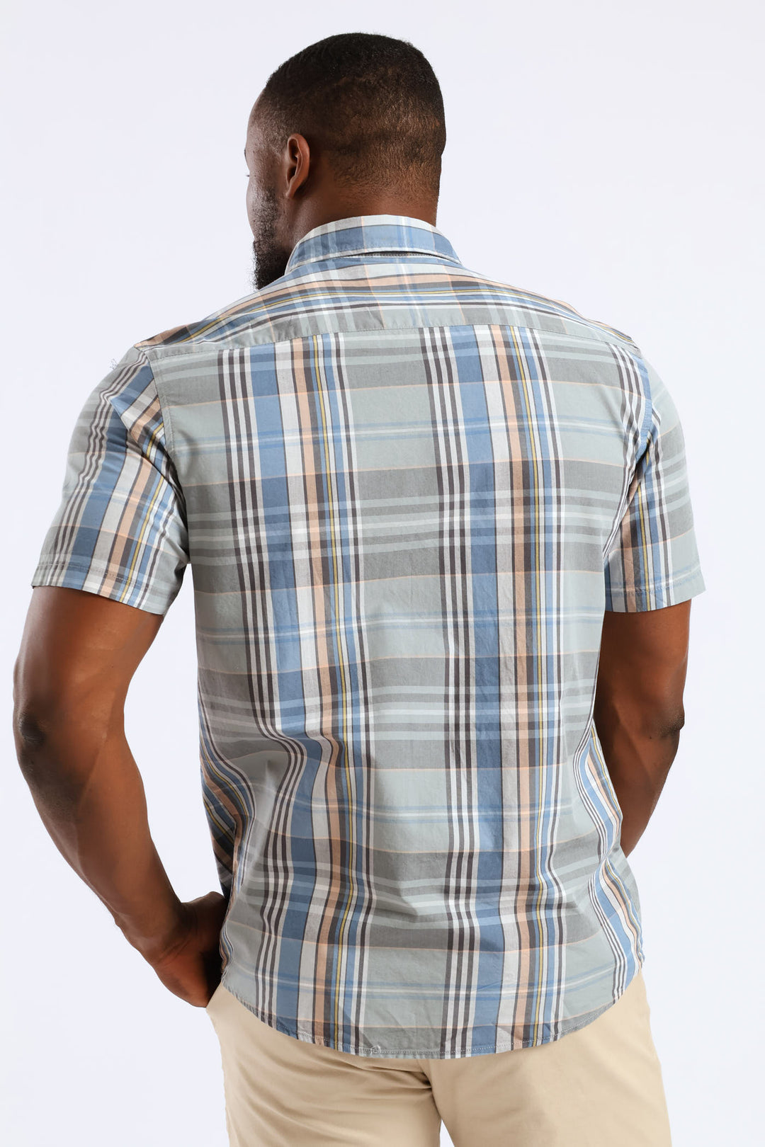 Check Regular Shirt - Light Green