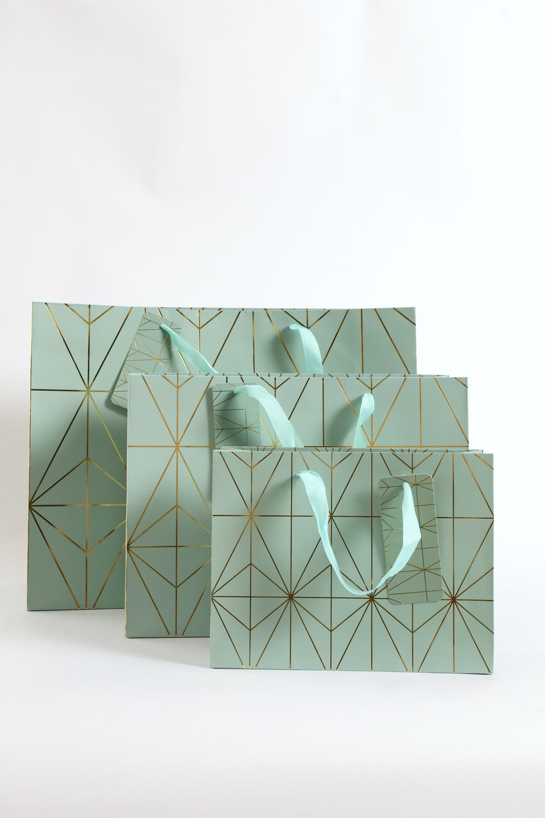 Diamond Foil Print Gift Bag - Sage