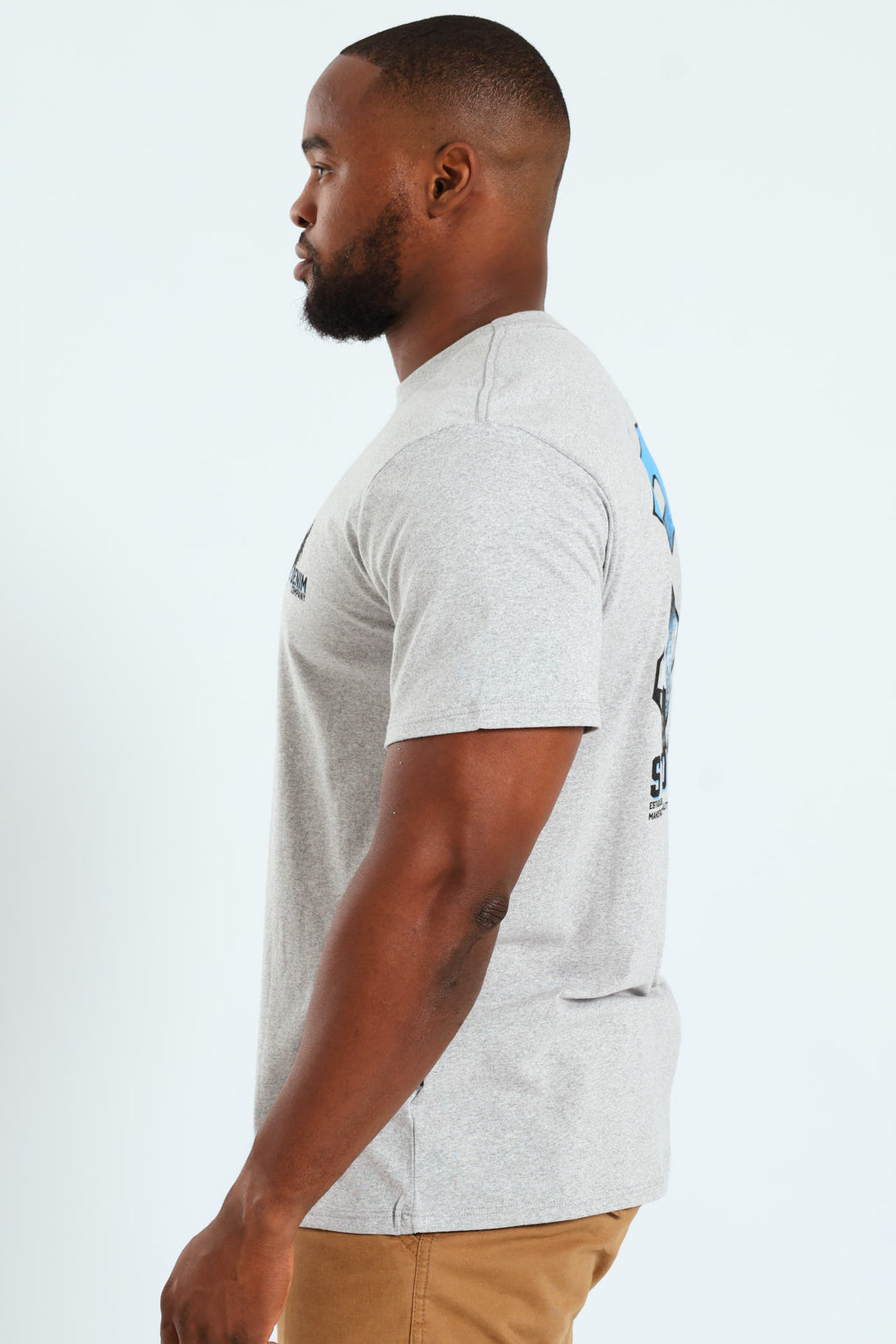 Icon Skull Front & Back Tee - Grey Melange