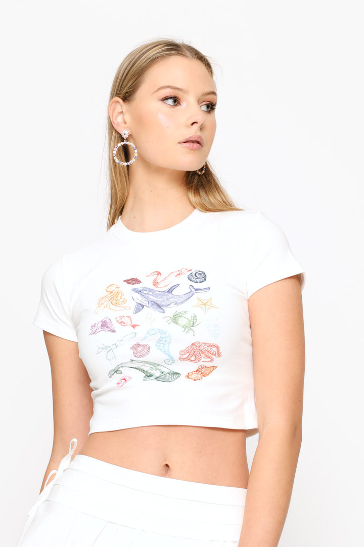 Short Sleeve Round Neck Knit Top - White