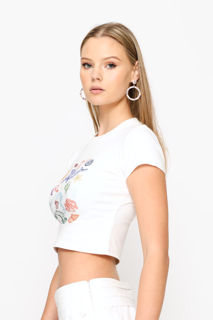 Short Sleeve Round Neck Knit Top - White