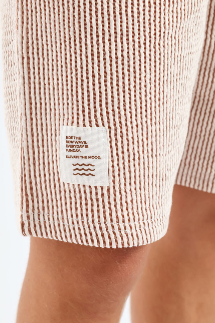Boys Stripe Seersucker Textured Short - Rust