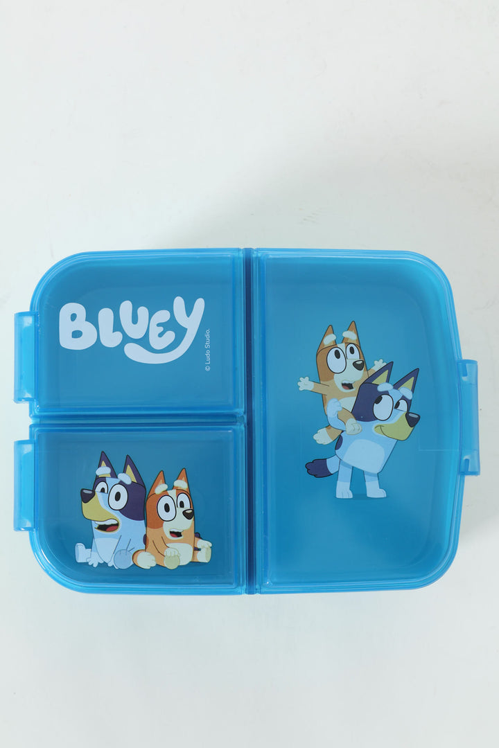 Multi Compartment Sandwhich Box